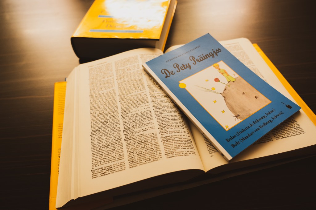 Image du livre Le Petit Prince édition Bolze posée sur un dictionnaire d'allemand 